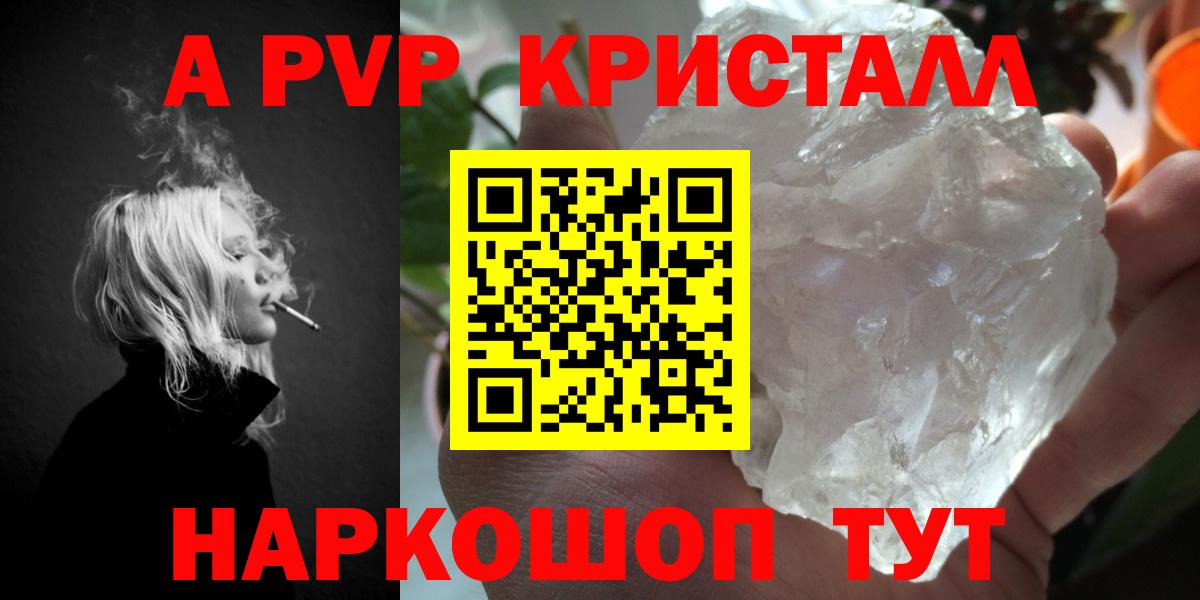 A PVP СК КРИС Белгород